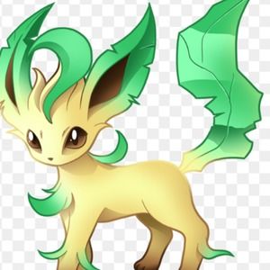 Meet your Posher, Rylin